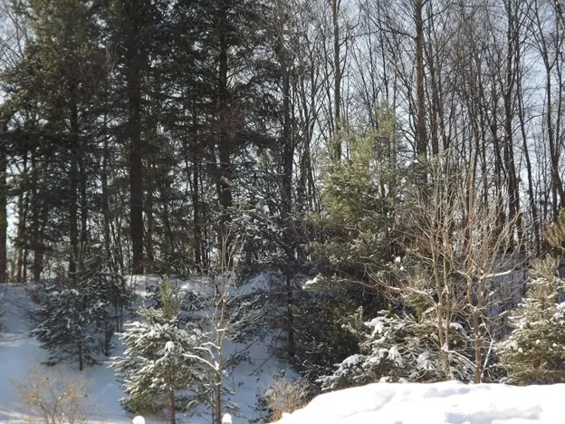 A red map pin placed on a map, symbolizing geographical targeting and local search.