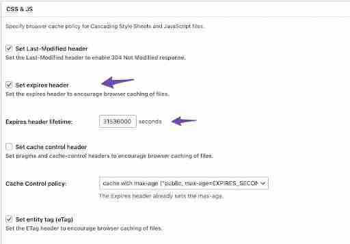 plugin settings - expires headers