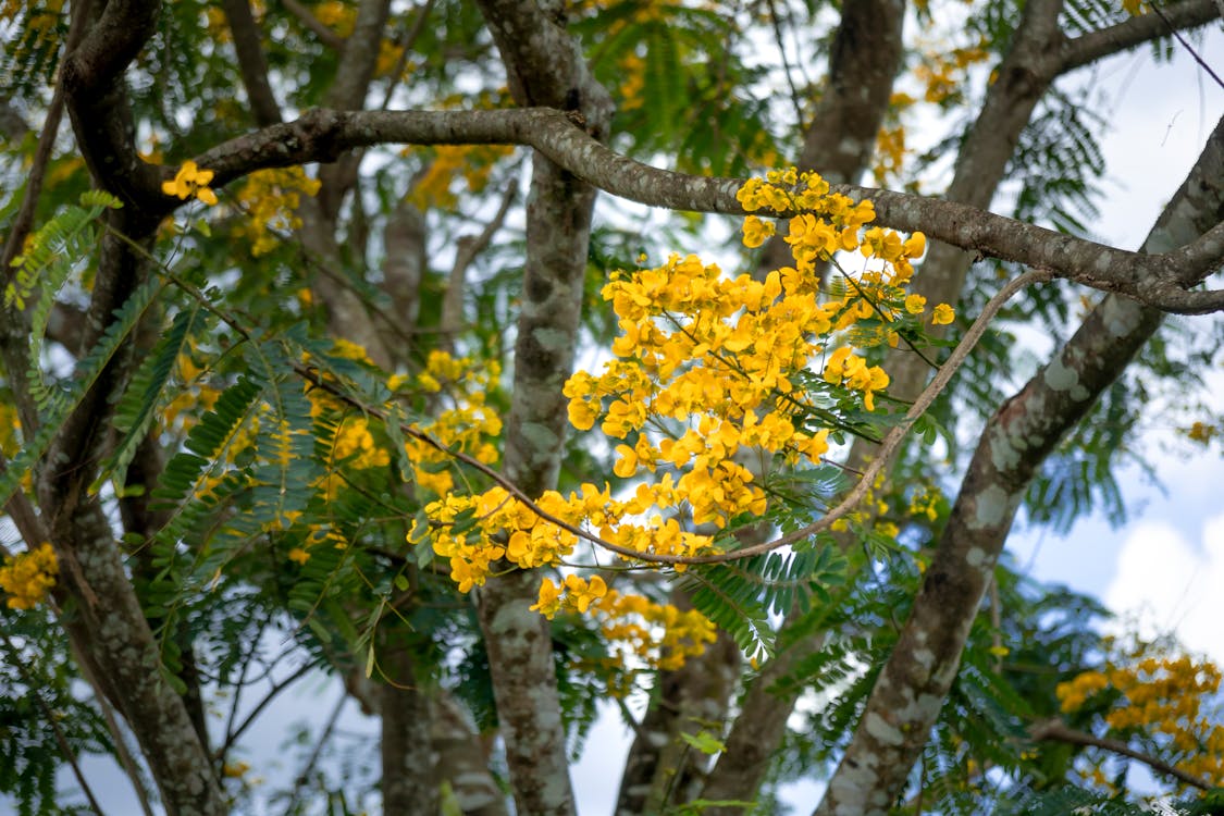 Person using a smartphone with a clean, fast loading interface, emphasizing mobile speed and user experience