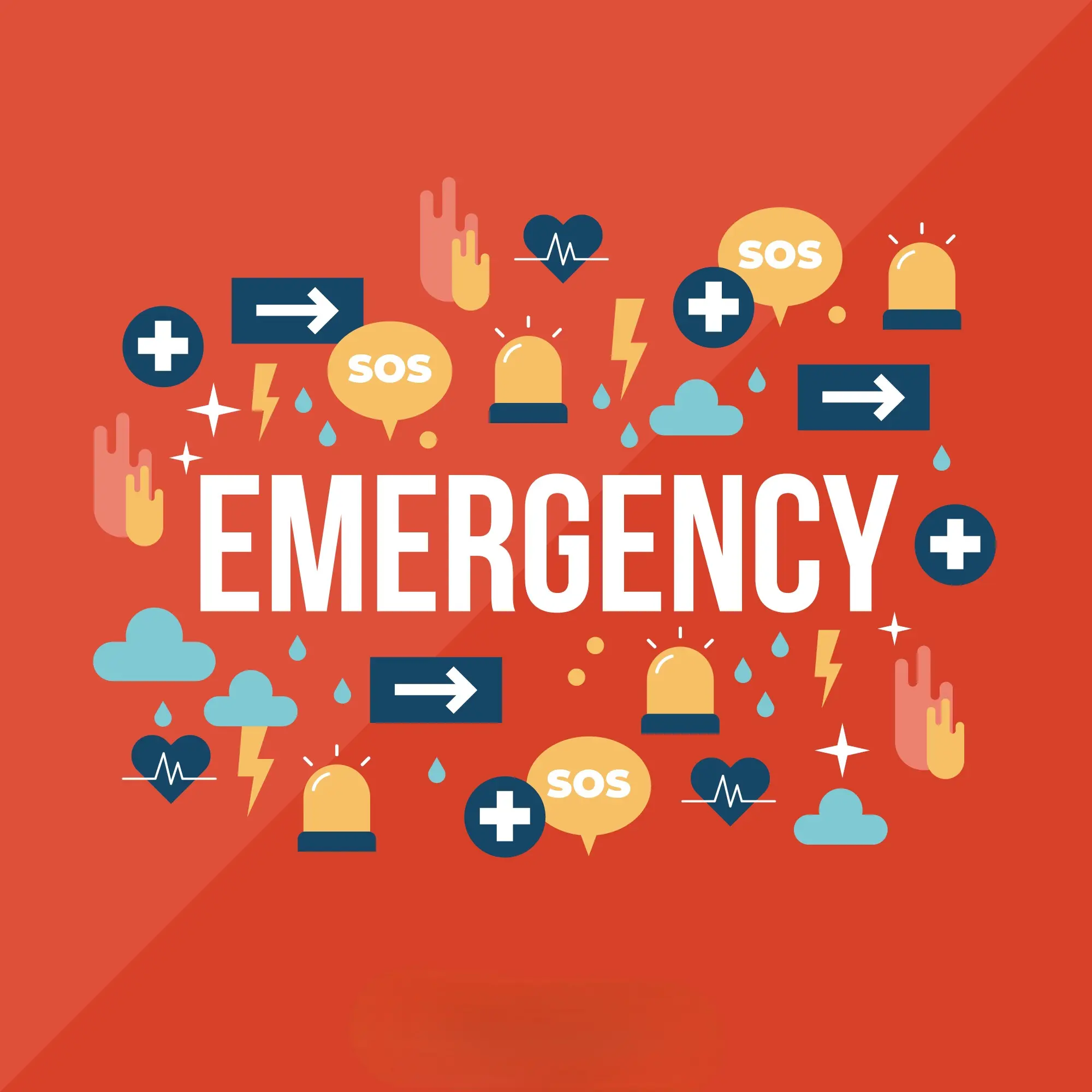 Emergency Shopify Support