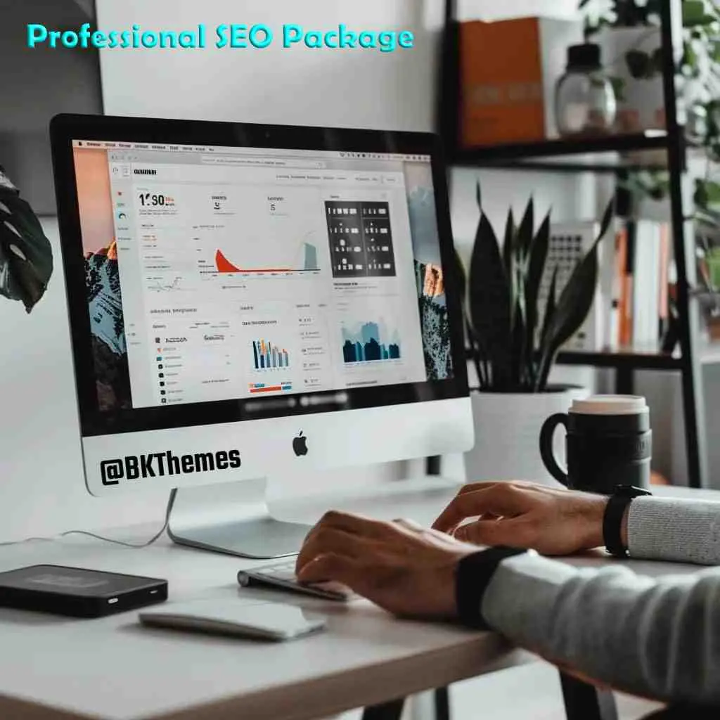Professional SEO Package