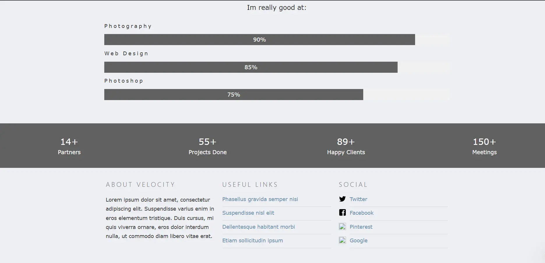 Velocity HTML5 Template about page preview