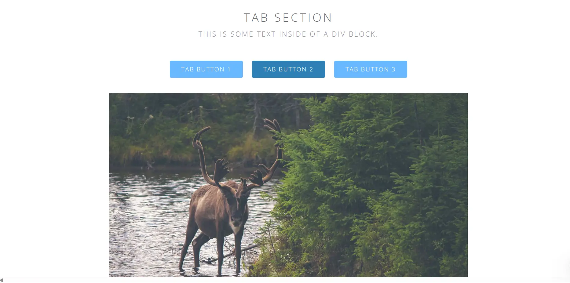 Velocity HTML5 Template tab section preview